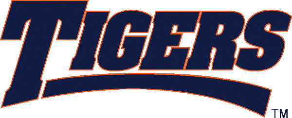 Auburn Tigers 1998-2003 Wordmark Logo t shirts iron on transfers